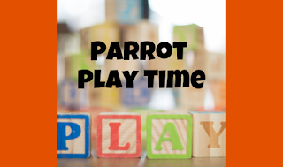 Enrichment for Your Parrot: Discouraging Damaging Behaviors