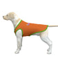 Dog Tank Top-Orange and Green M-2XL