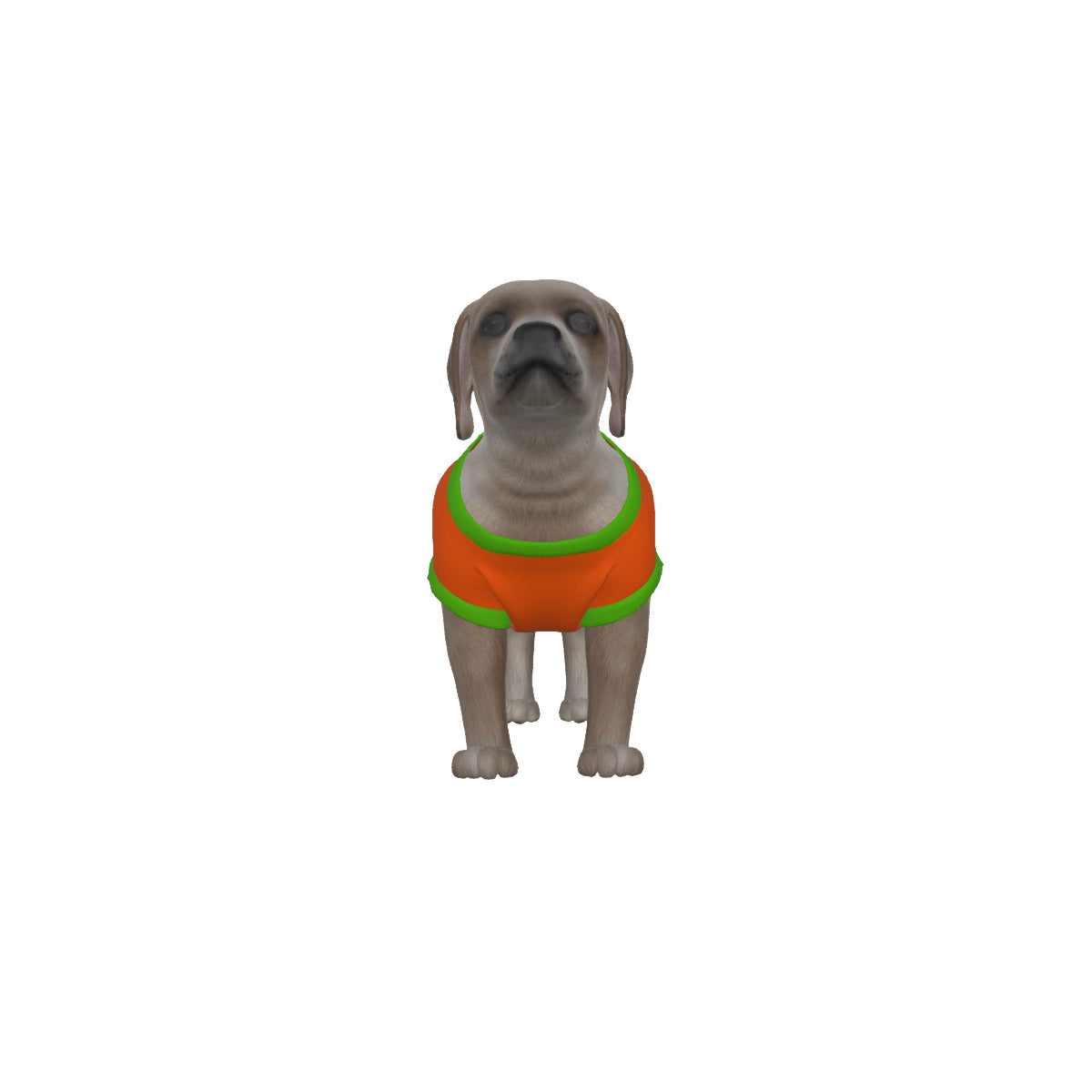 Dog Tank Top-Orange and Green (no graphic) XS-S