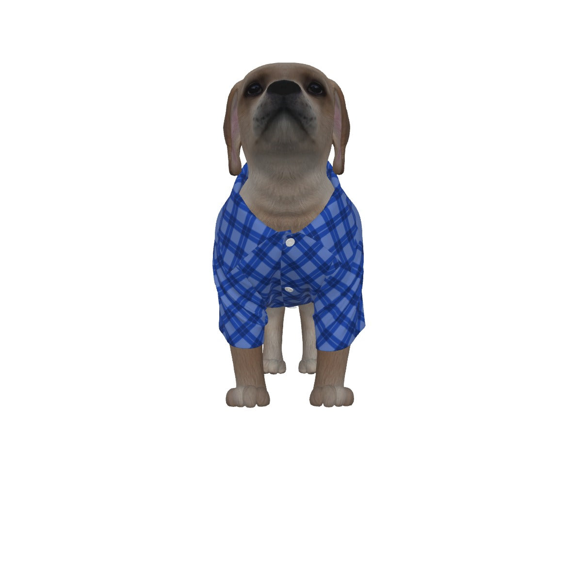 Dog's Blue Plaid HANUKKAH Family-Matching PJs: M-3XL