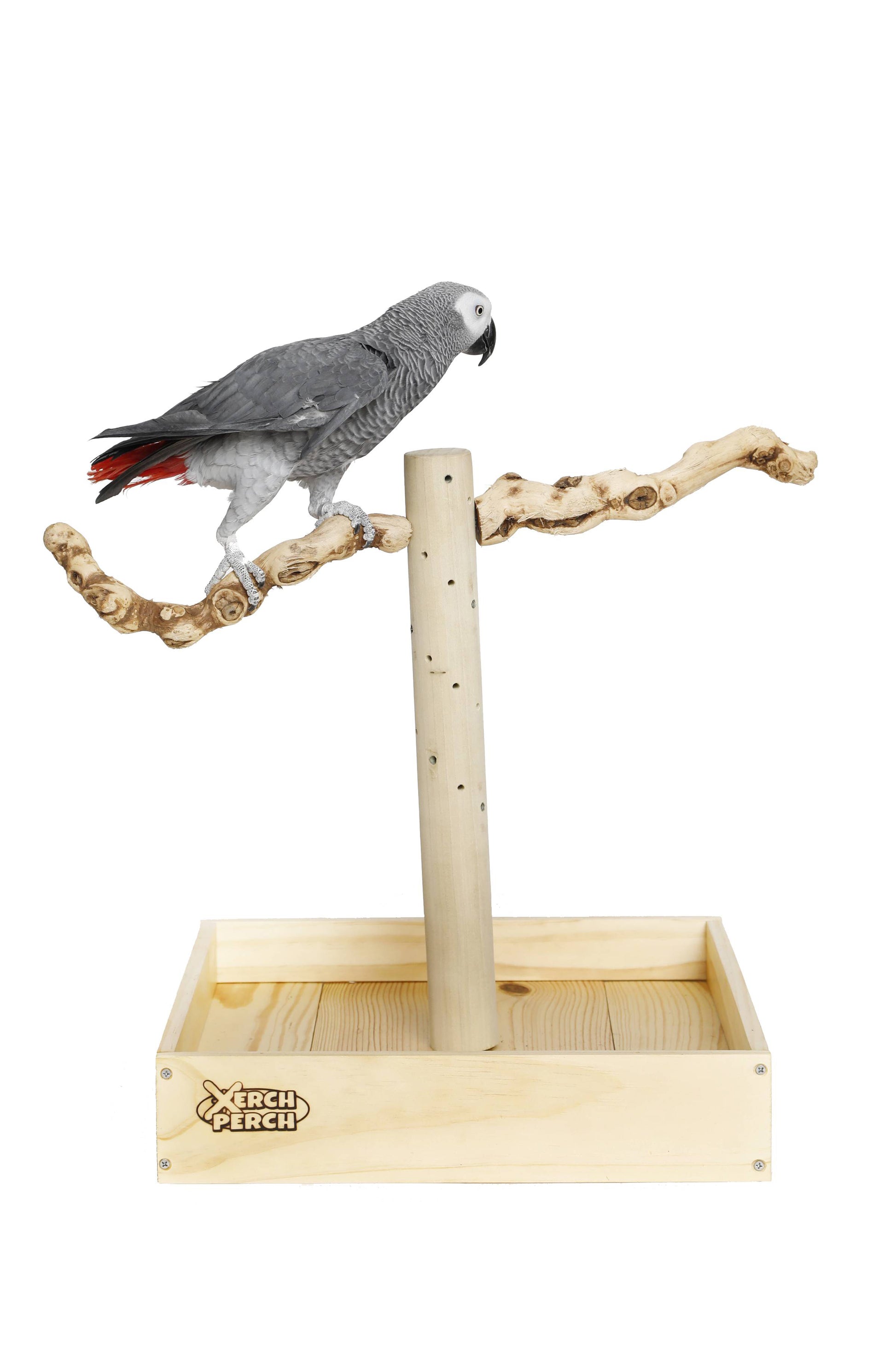 Natural Wood Parrot Stand Perch, Xerch Perch, The Parrot Mom, Bird Tree, Parrot Play Stand, Wood Tree Perch, Macaw Perch, Bird Tree Stand, Bird T Stand, Modular Parrot Tree Stand, Bird Playstand, Dragon Wood, Grape Wood