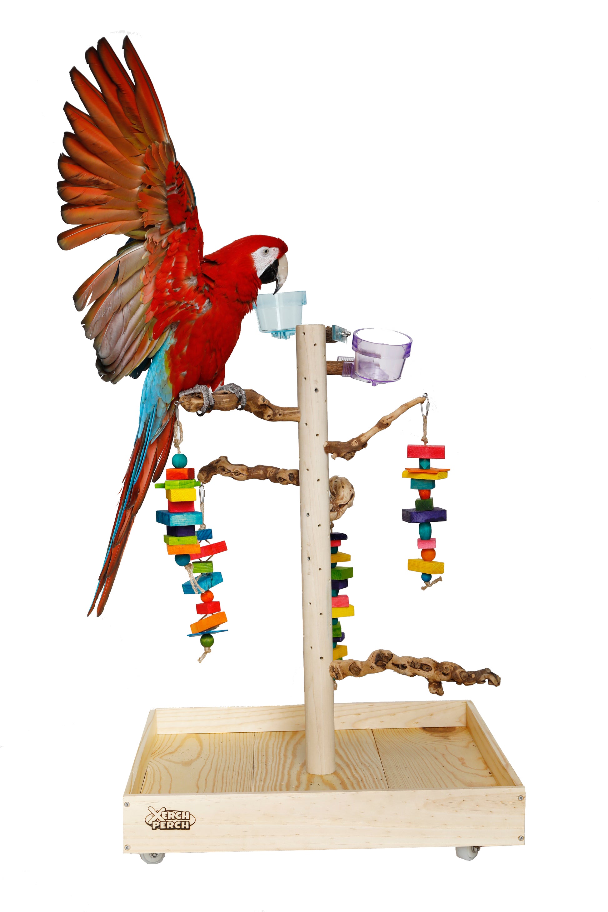 Natural Wood Parrot Stand Perch, Xerch Perch, The Parrot Mom, Bird Tree, Parrot Play Stand, Wood Tree Perch, Macaw Perch, Bird Tree Stand, Bird T Stand, Modular Parrot Tree Stand, Bird Playstand, Dragon Wood, Grape Wood