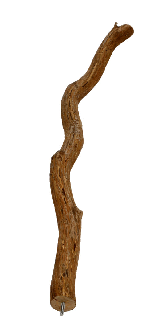 Natural Dragon Wood Parrot Perch Trunk, Xerch Perch, The Parrot Mom, Bird Tree, Parrot Play Stand, Wood Tree Perch, Macaw Perch, Bird Tree Stand, Dragon Wood,