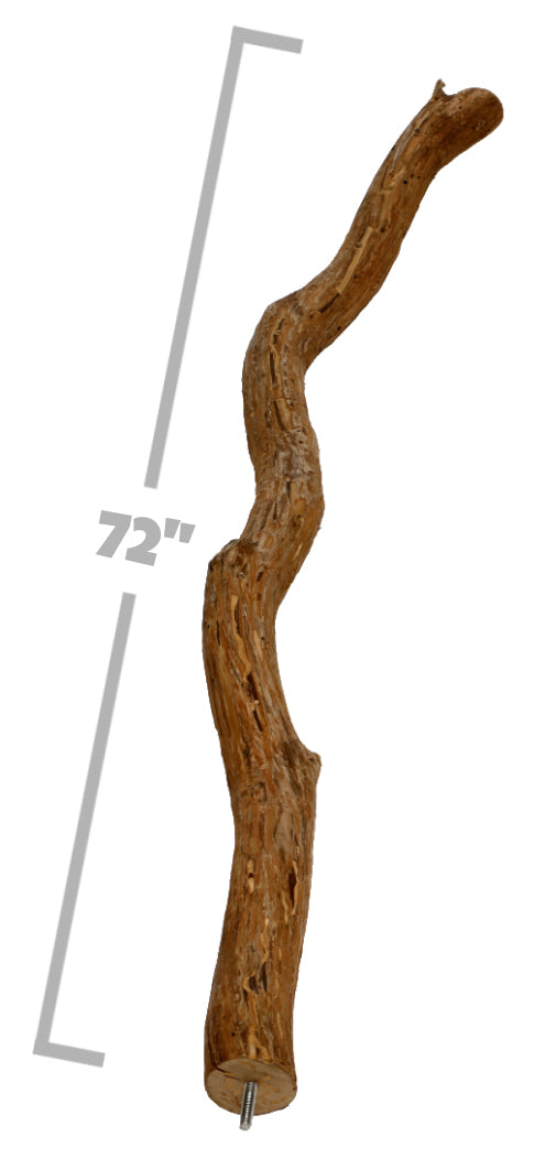 Natural Dragon Wood Parrot Perch Trunk, Xerch Perch, The Parrot Mom, Bird Tree, Parrot Play Stand, Wood Tree Perch, Macaw Perch, Bird Tree Stand, Dragon Wood,