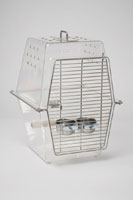 The lightweight, transparent Wingabago® carrier for birds and exotic pets gives your pet a clear view of their surroundings and allows you to monitor their safety quickly. Birds do not feel trapped or claustrophobic in the Wingabago®. Veterinarians consulted indicated bird experience less stress during travel if they can see their owners. This is the best bird carrier for parrots. African Grays, Cockatoos, Mini Macaws, Eclectus, Cockatiels, Senegal Parrots, Caiques, Quaker Parrots, Conure.